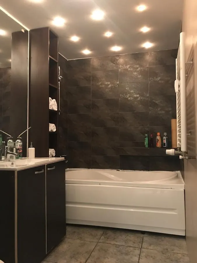 Ghica Tei Studio By Acme Rent Bucureşti